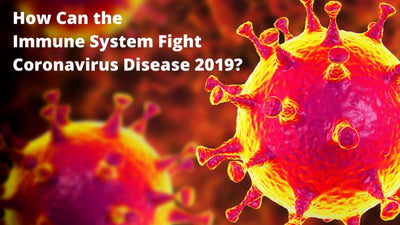 How Can the Immune System Fight Coronavirus Disease?